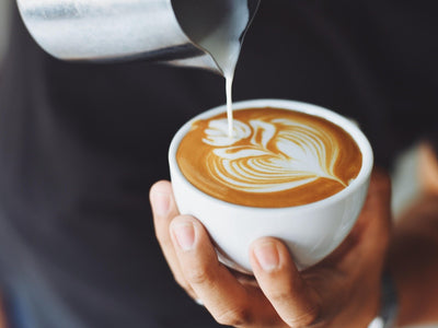Capuchino